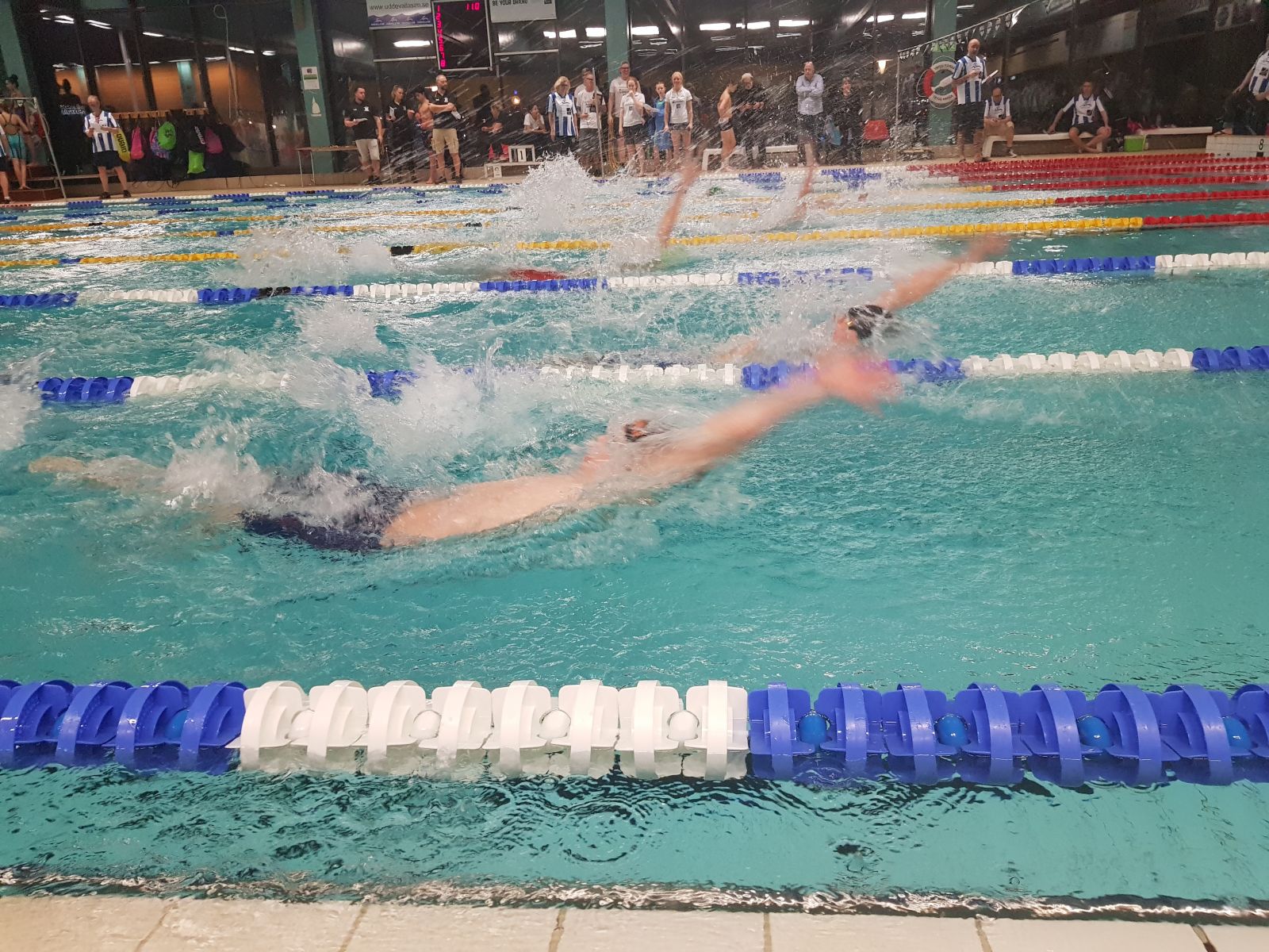 image: Snabba simningar på Ungdoms GP