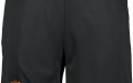 Träningshorts (Herr)